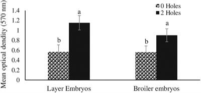 Effects of Induced Moisture Loss in Chicken Embryos at Embryonic Day 18 and Post-hatch Immune Response During Salmonella enteritidis Lipopolysaccharide Challenge in Broilers